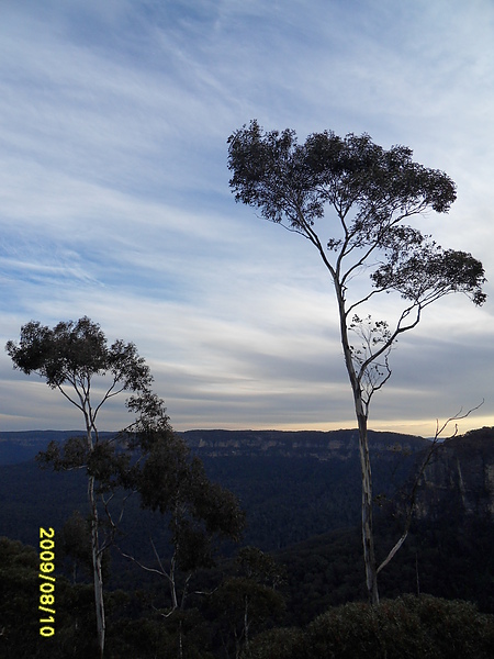 SDC10269.JPG