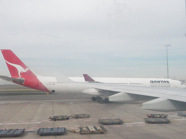 P8100859  有袋鼠標誌的Qantas航空.JPG