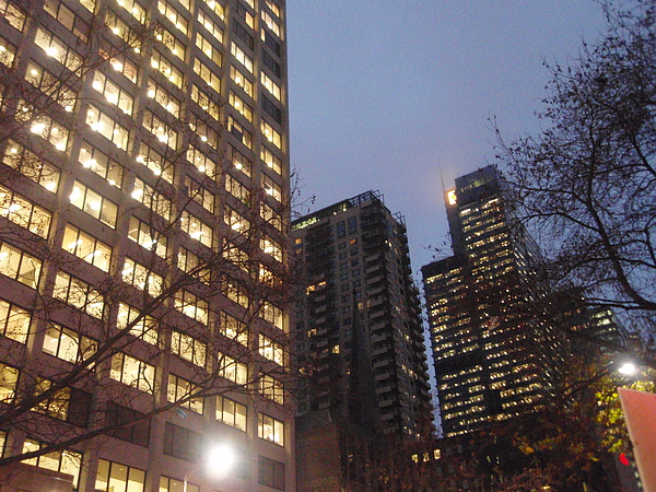 P8121119.JPG