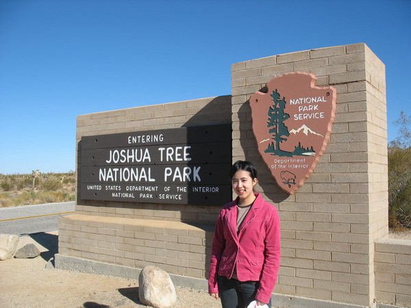 Joshua Tree