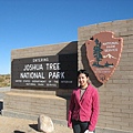 Joshua Tree