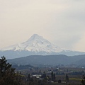 Mt. Hood