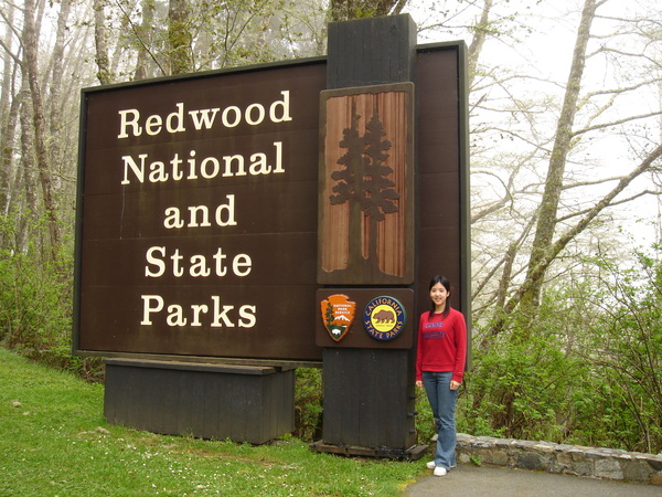 Redwood National Park