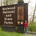 Redwood National Park