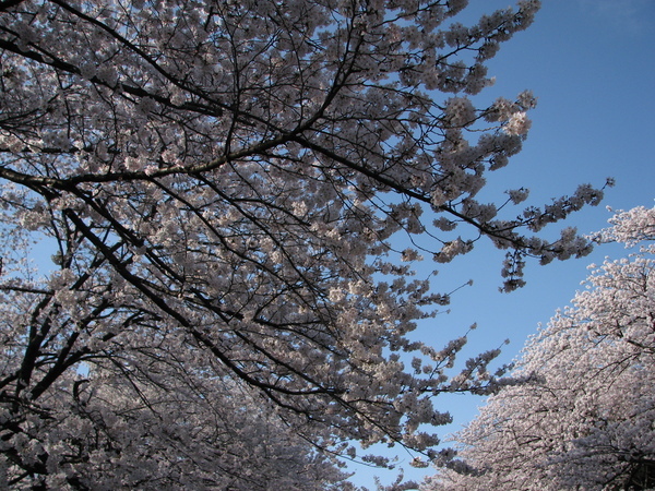 上野公園