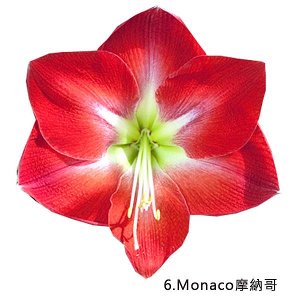 6.Monaco摩納哥.jpg