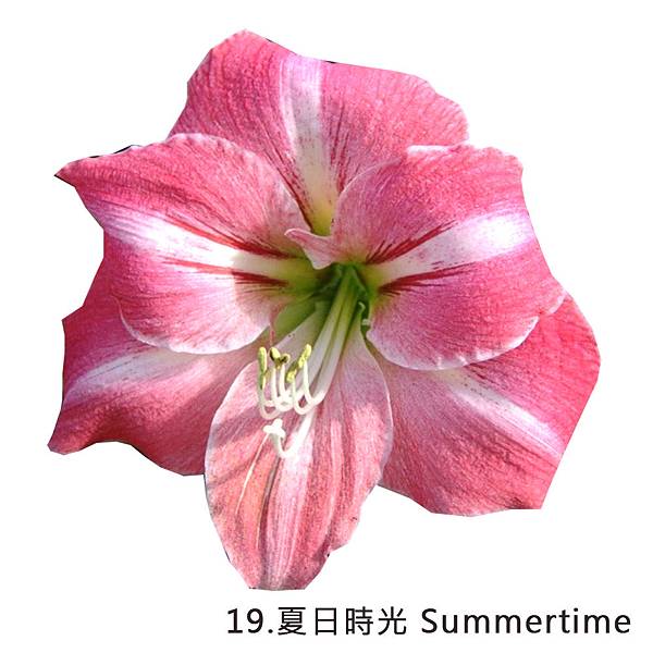 19.夏日時光 Summertime.jpg