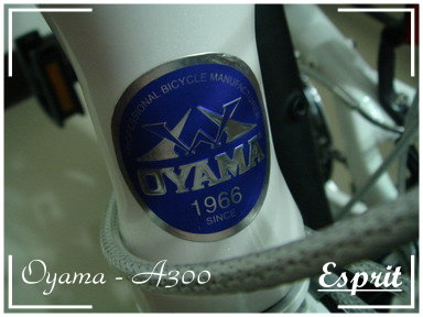 Oyama - A300 005.jpg