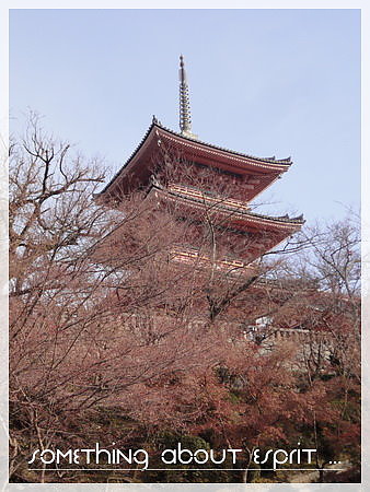 關西之旅 0111 - 清水寺.JPG