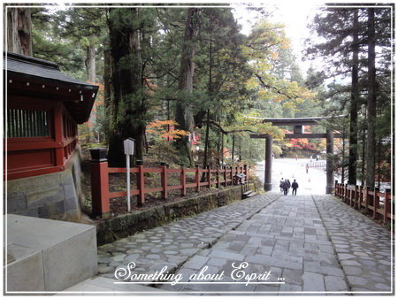 關東之旅 - 0104 - 二荒山神社