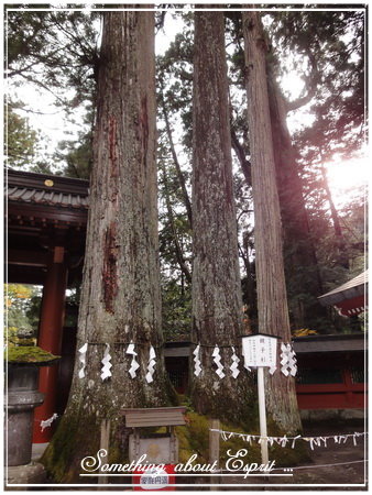 關東之旅 - 0102 - 二荒山神社