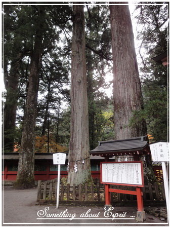 關東之旅 - 0103 - 二荒山神社