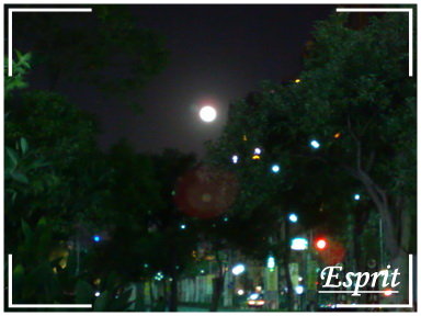 月圓 - 090111 月圓 - 090111
