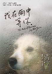 Book - 我在雨中等你 175x250