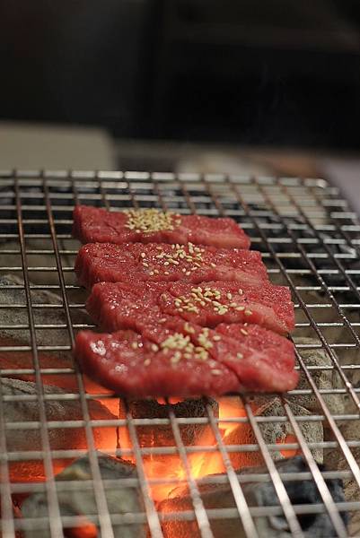 DSCF5708.JPG DSCF5708.JPG