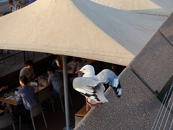 DSC03881.JPG DSC03881.JPG