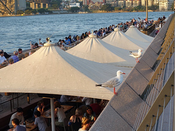 DSC03877.JPG DSC03877.JPG