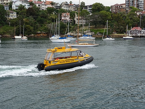 DSC03989.JPG DSC03989.JPG