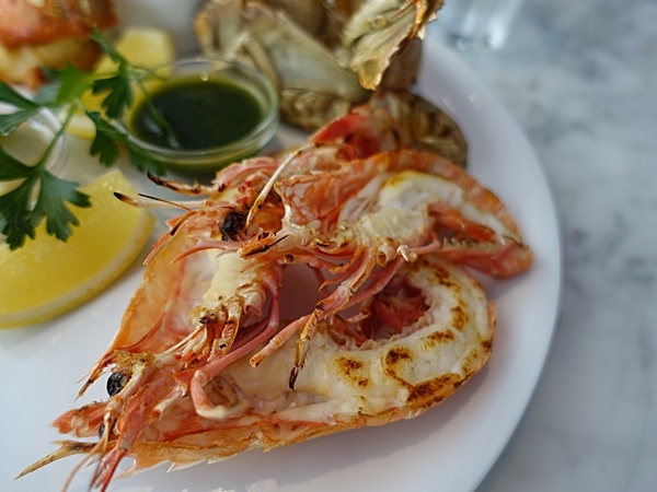 DSC04000.JPG DSC04000.JPG