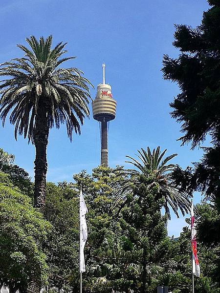 IMG_20161213_104826.jpg IMG_20161213_104826.jpg