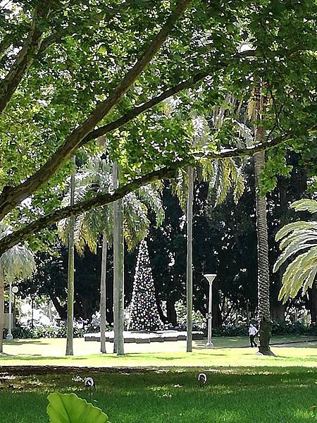 IMG_20161213_105824.jpg IMG_20161213_105824.jpg