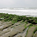 IMG_3892.jpg