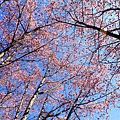 _MG_0329.jpg