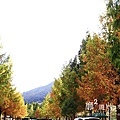 _MG_9515.JPG