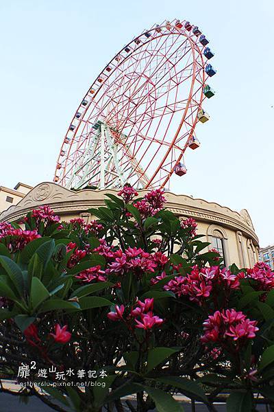 IMG_3621.JPG IMG_3621.JPG