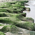 IMG_8744.JPG