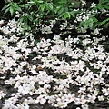 IMG_3946.JPG