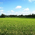 IMG_9750.JPG
