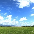 IMG_9768.JPG