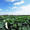 IMG_9753.JPG