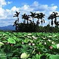 IMG_9796.JPG