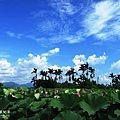 IMG_9826.JPG