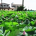IMG_9840.JPG