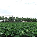 IMG_9870.JPG
