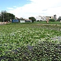 IMG_9878.JPG