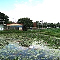 IMG_9886.JPG