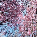 IMG_3629.JPG