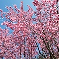 IMG_3959.JPG