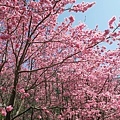 IMG_3971.JPG