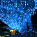 IMG_6681.JPG
