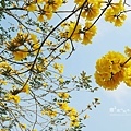 IMG_8741.JPG