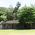 IMG_4571.JPG