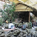 IMG_4579.JPG