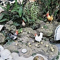 IMG_4586.JPG
