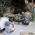 IMG_4587.JPG