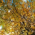 IMG_9022.JPG